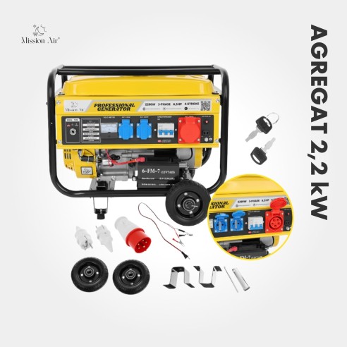 2.2 kW 6.5 HP Petrol Generator | Gasoline Engine