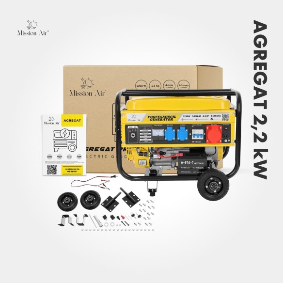 2.2 kW 6.5 HP Petrol Generator | Gasoline Engine