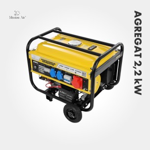 2.2 kW 6.5 HP Petrol Generator | Gasoline Engine
