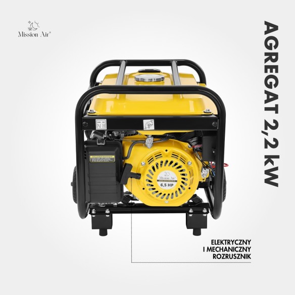 2.2 kW 6.5 HP Petrol Generator | Gasoline Engine