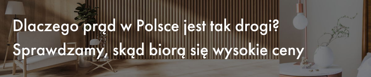 Dlaczego prąd w Polsce jest tak drogi? Sprawdzamy, skąd biorą się wysokie ceny.
